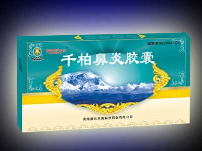 ׿�굤ǧ�ر��׽���